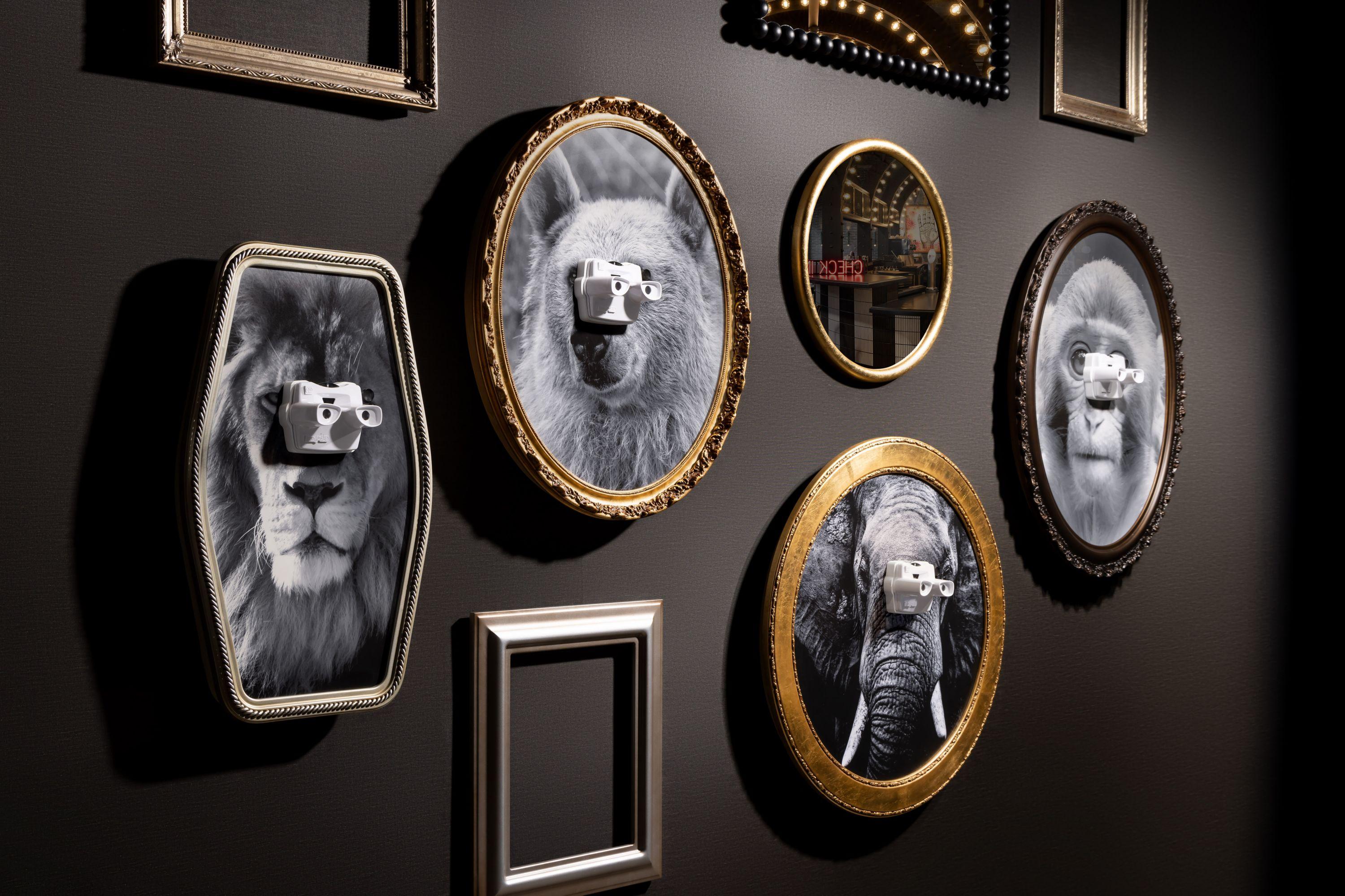 Moxy Allentown Downtown