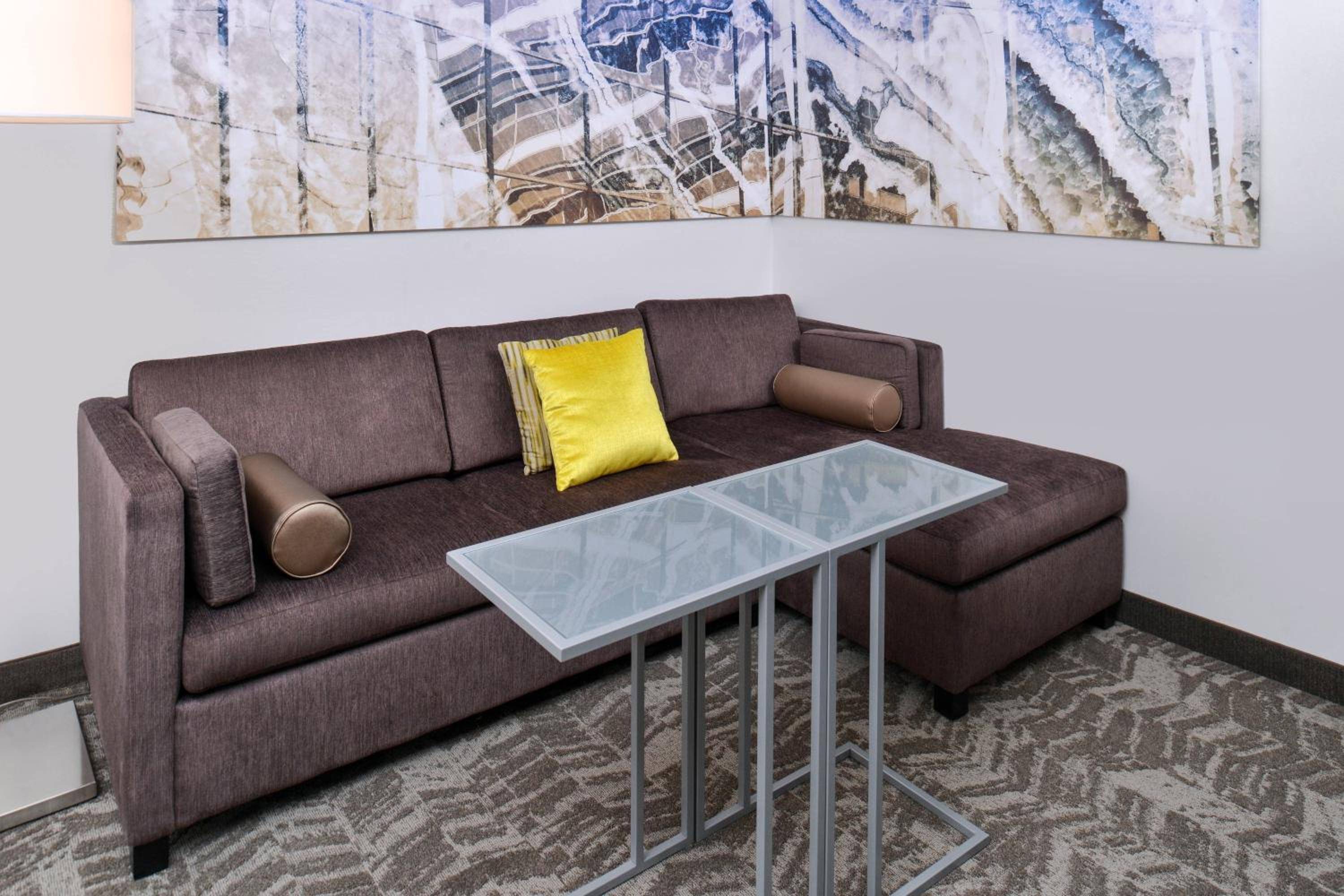 Springhill Suites by Marriott Detroit Metro Airport Romulus