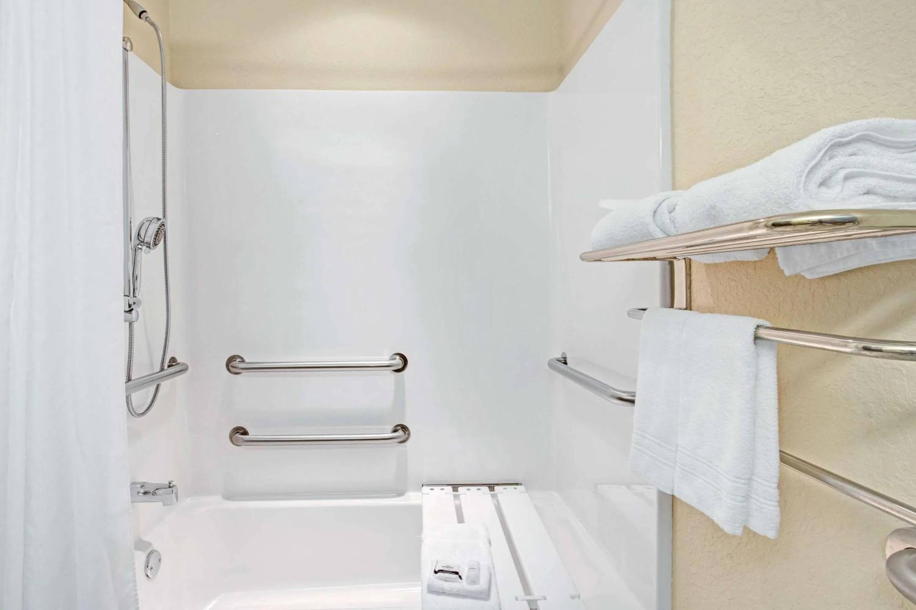 Microtel Inn & Suites by Wyndham Brooksville