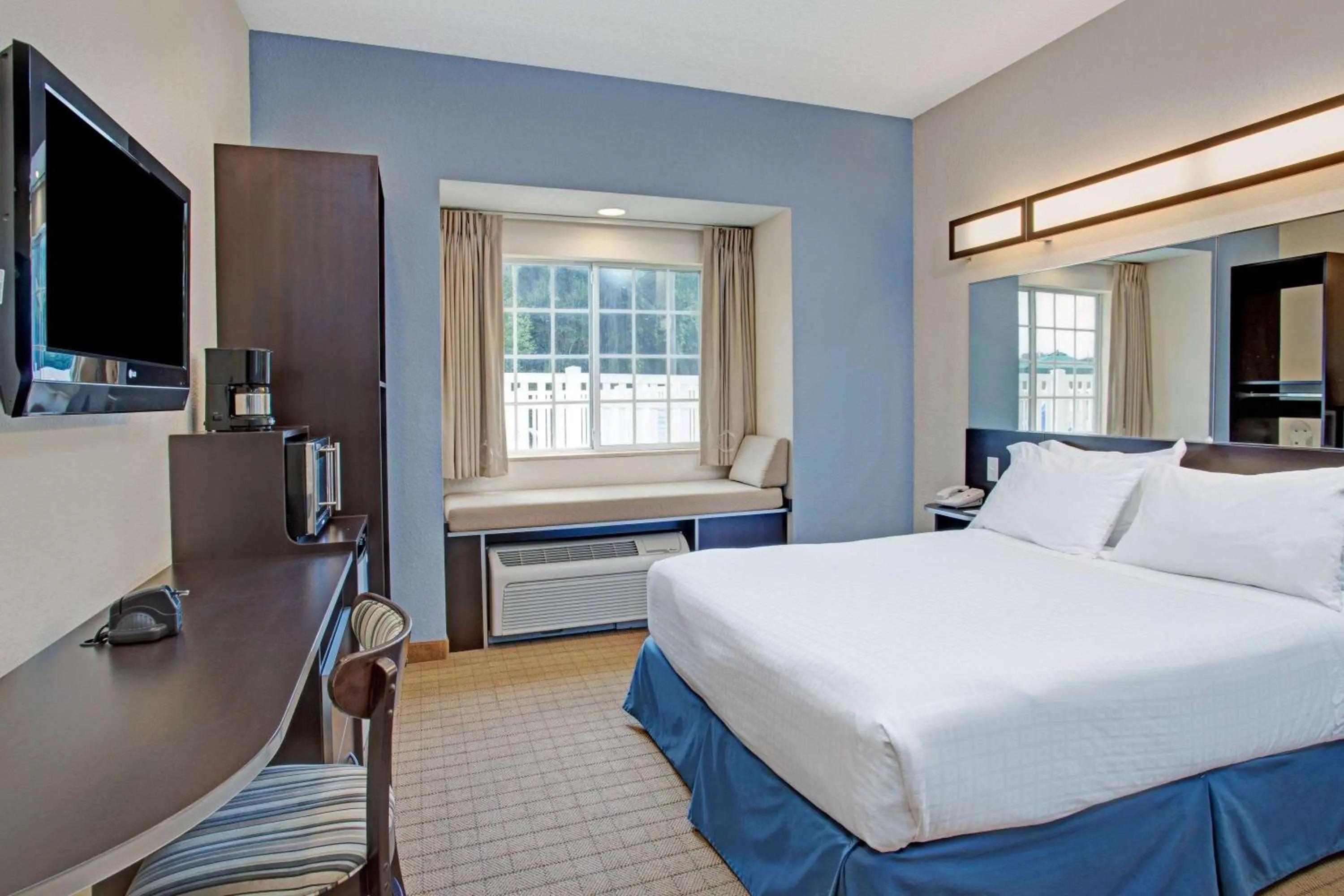 Microtel Inn & Suites by Wyndham Brooksville