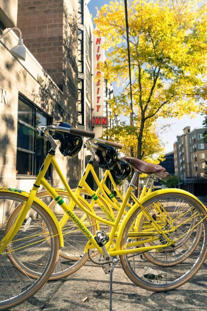 Staypineapple, University Inn, University District Seattle