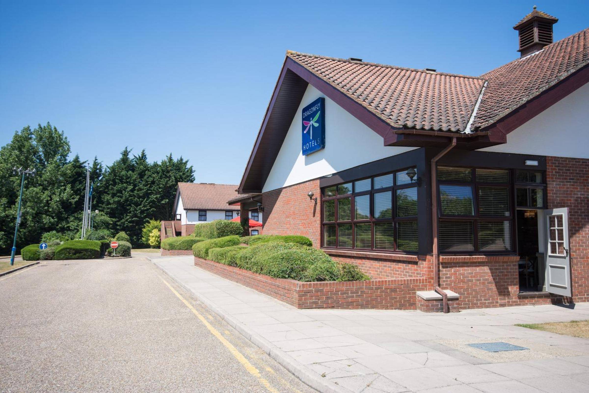 Dragonfly Bury St Edmunds