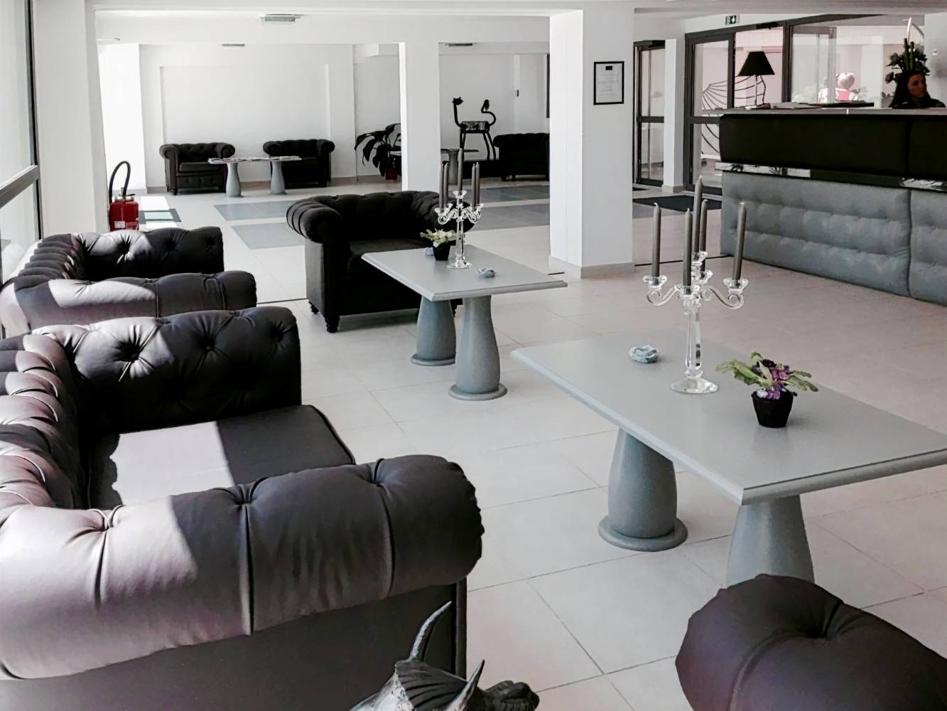 Adonis Aix en Provence