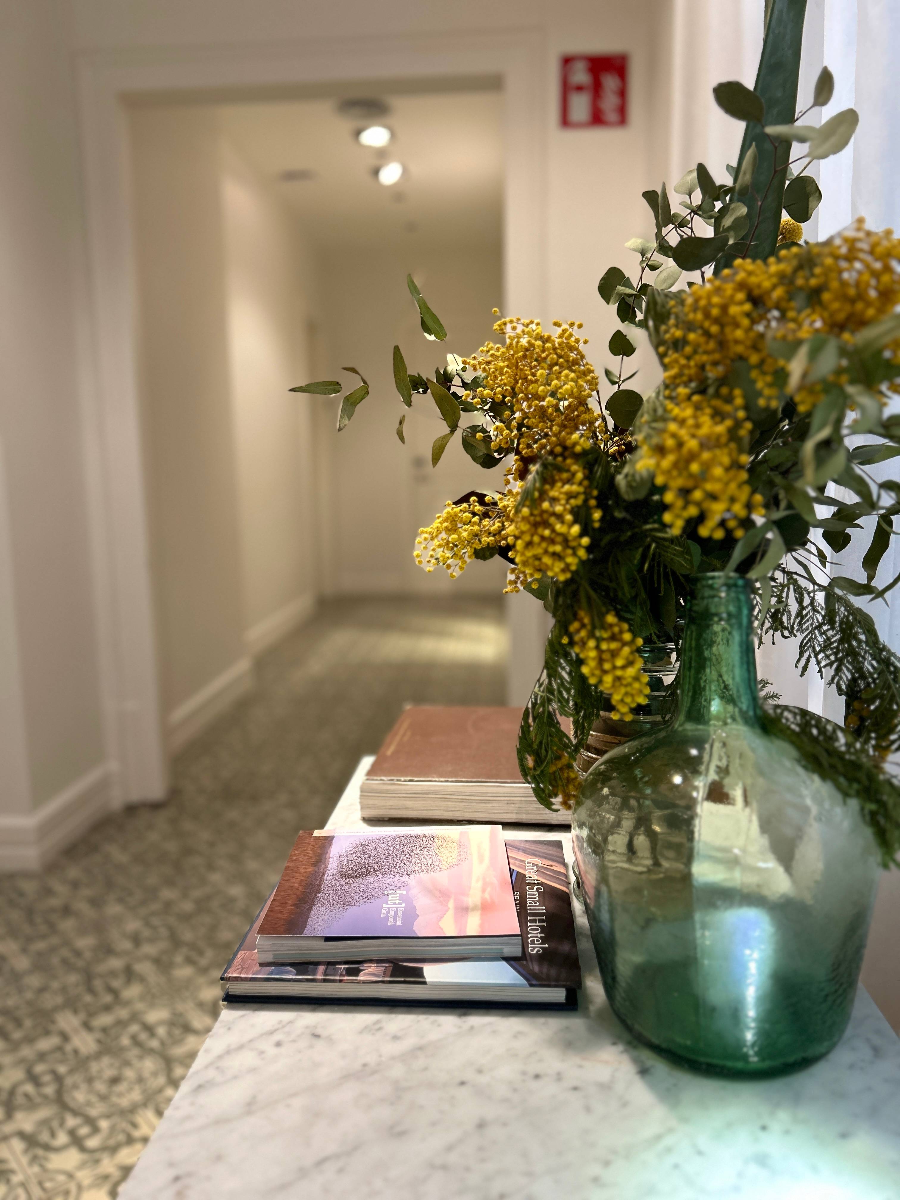 Forget Me Not Barcelona