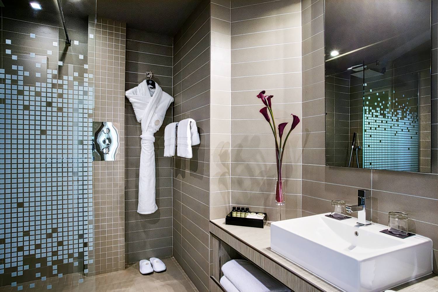 Pullman Toulouse Centre Ramblas