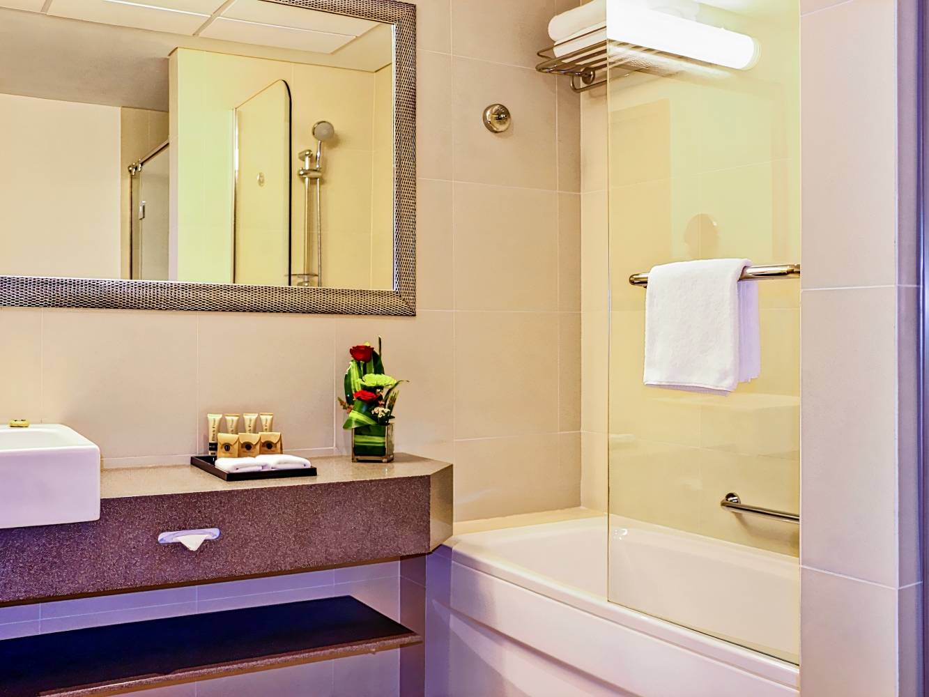 Aparthotel Adagio Premium Dubai Al Barsha