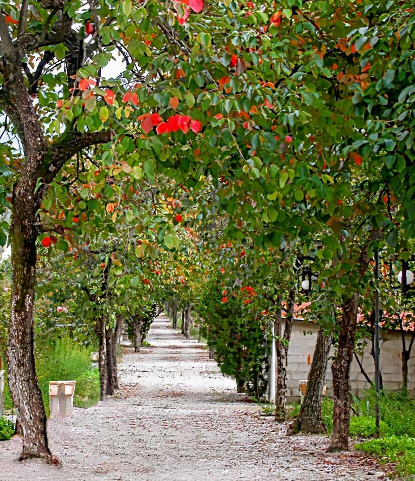 Villa Rizzo Resort & Spa