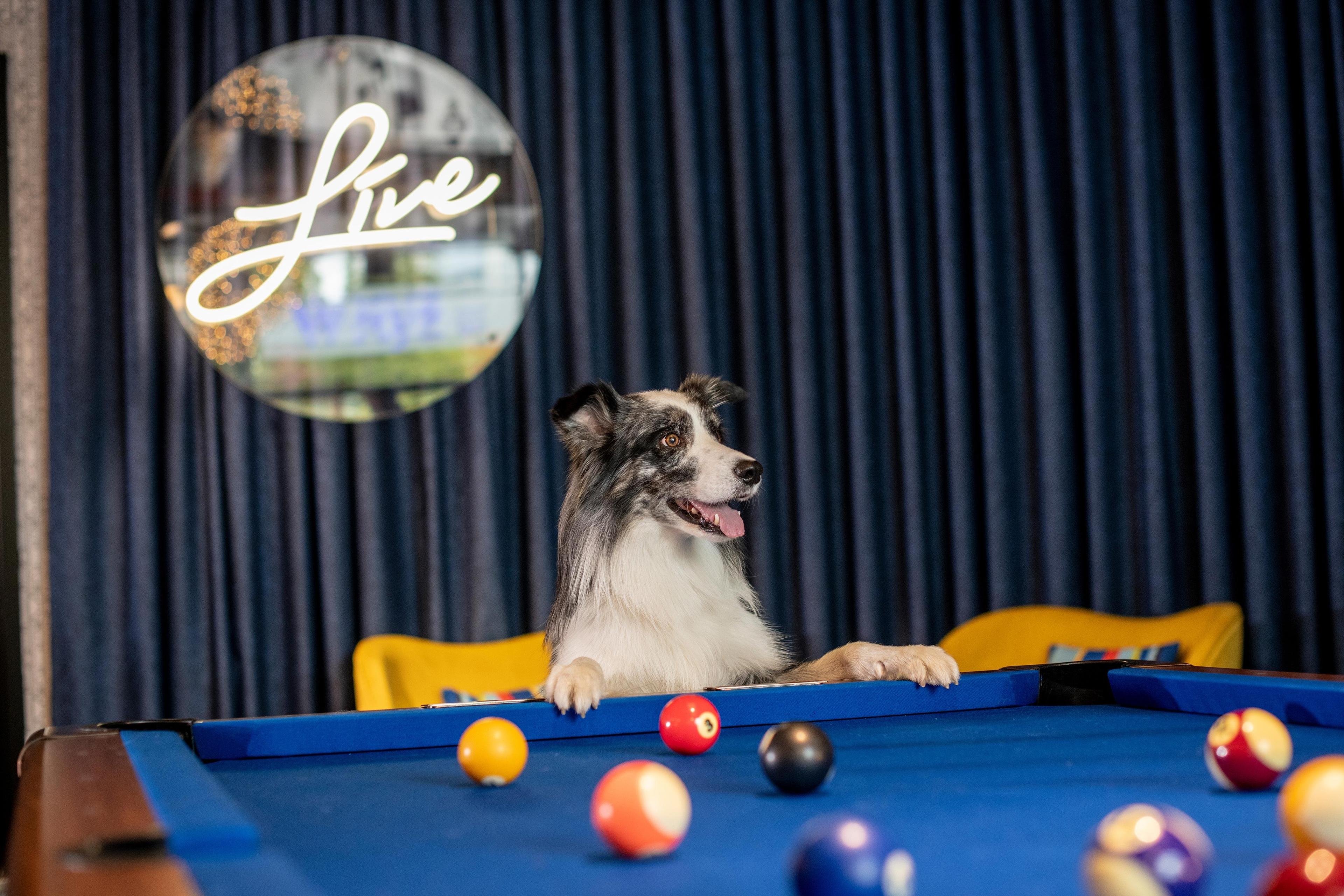 Aloft Brussels Schuman