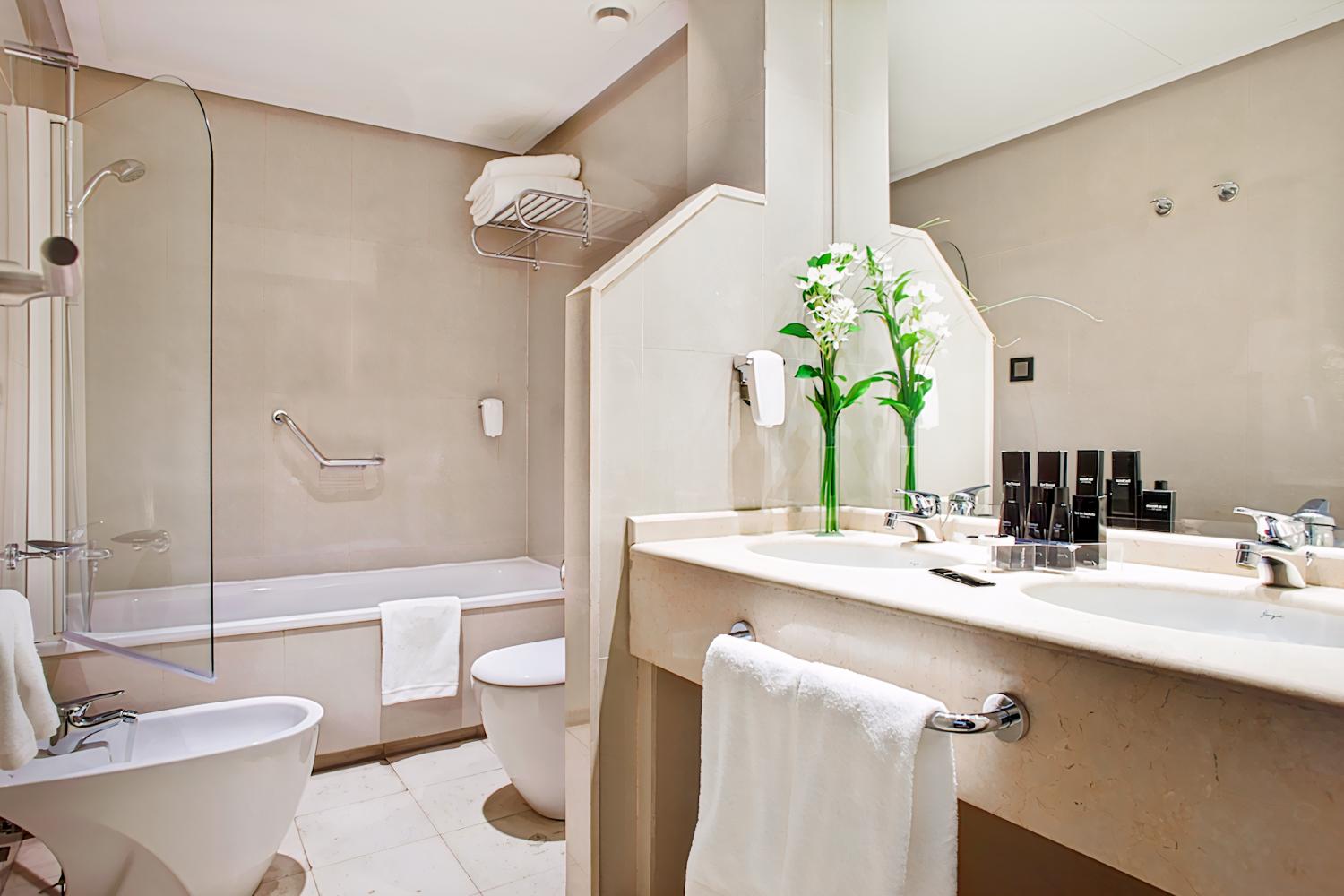 Hotel Princesa Plaza