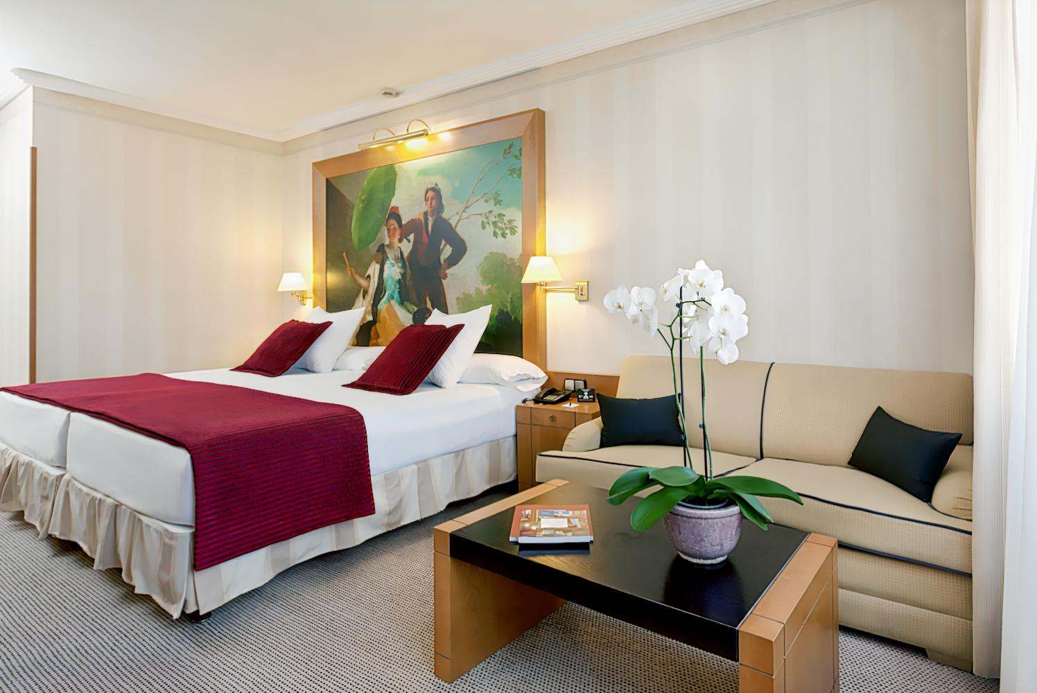 Hotel Princesa Plaza