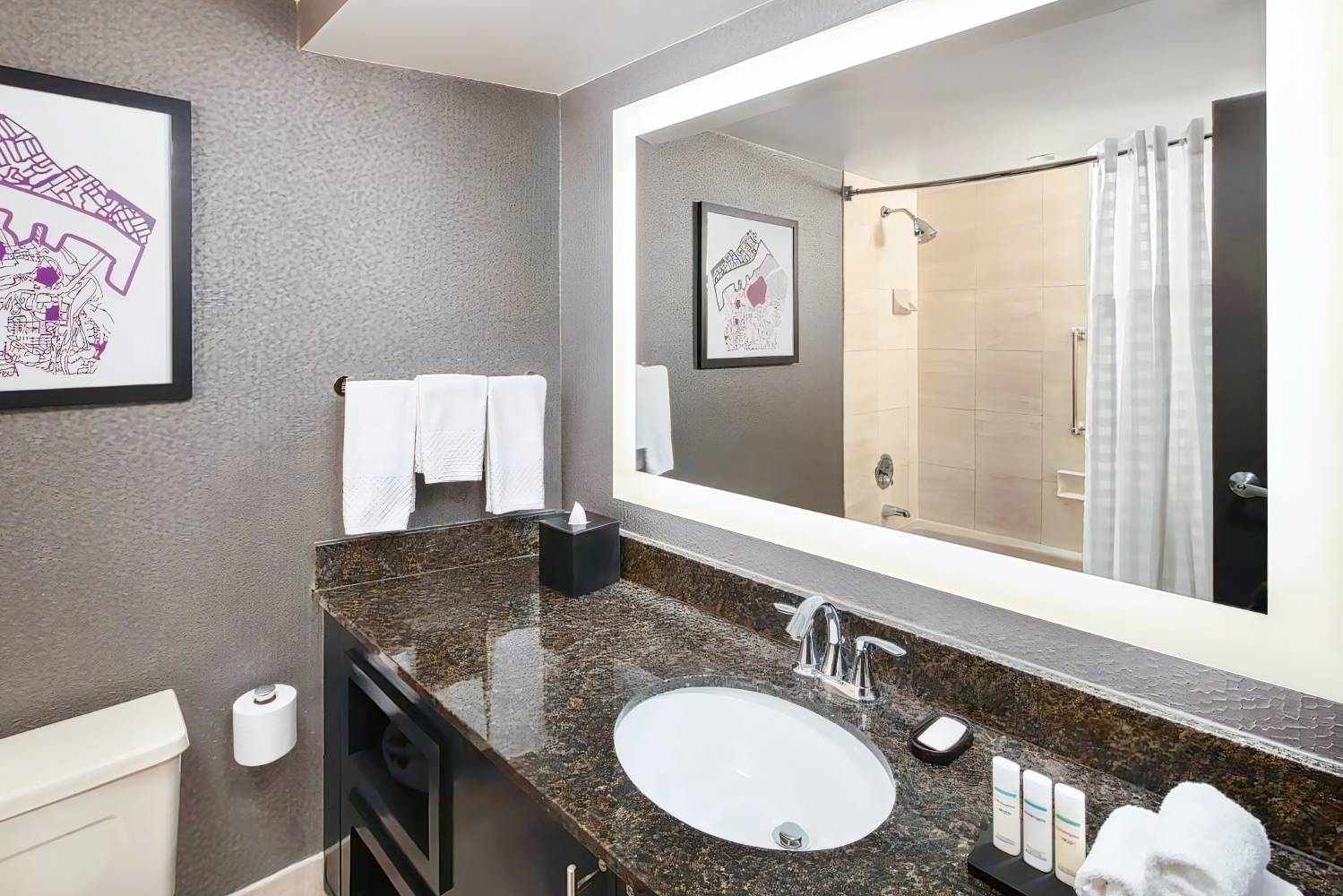 Embassy Suites by Hilton Crystal City National Airport