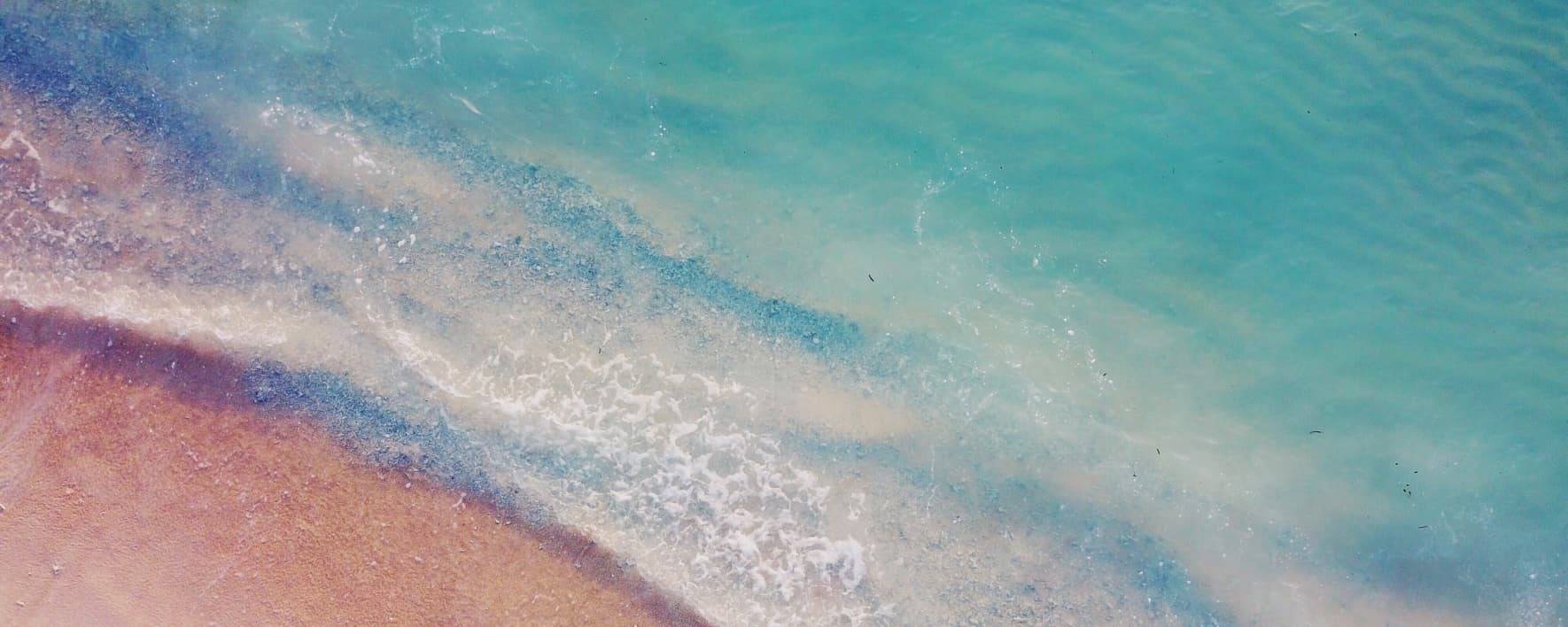 Positive Friday 2022 : Notre engagement pour la protection des océans